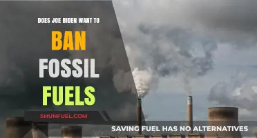 Biden's Fossil Fuel Plans: Ban or Regulate?