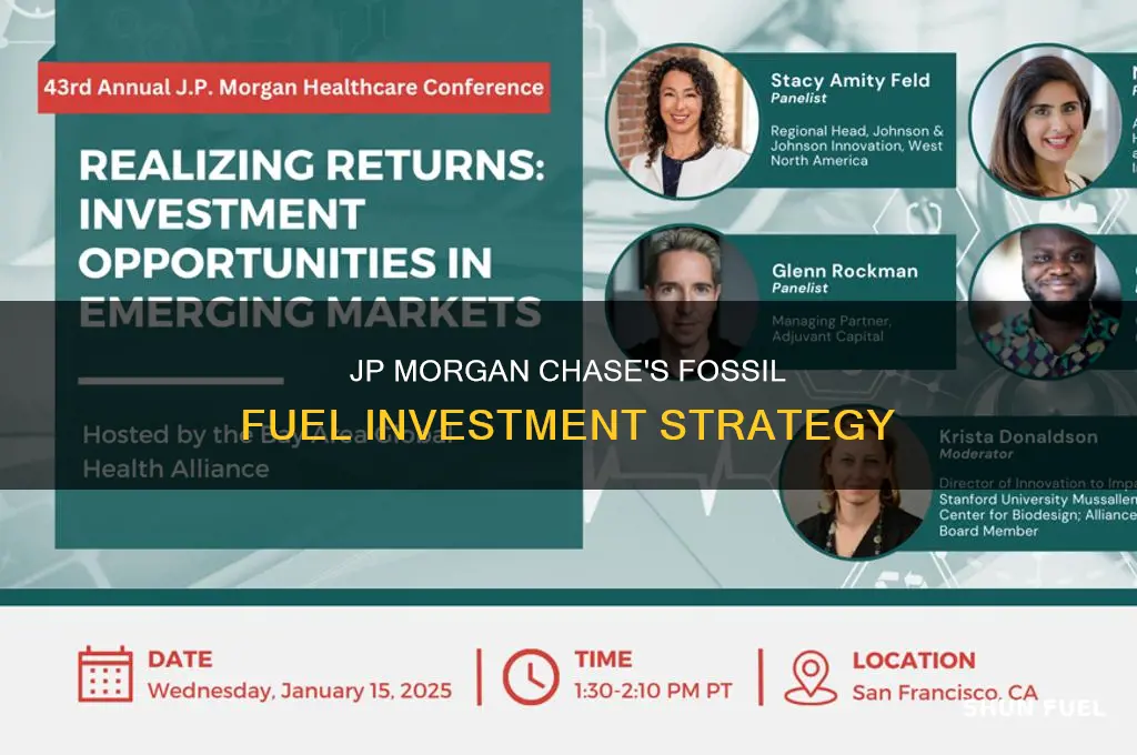 does jp morgan chase invest in fossil fuels