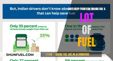 Idling Engines: Fuel Guzzlers or Efficient Machines?
