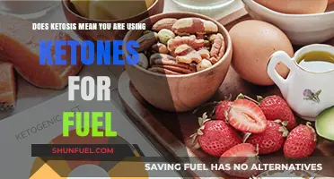 Ketosis Explained: Are Ketones Your Body's Primary Fuel Source?