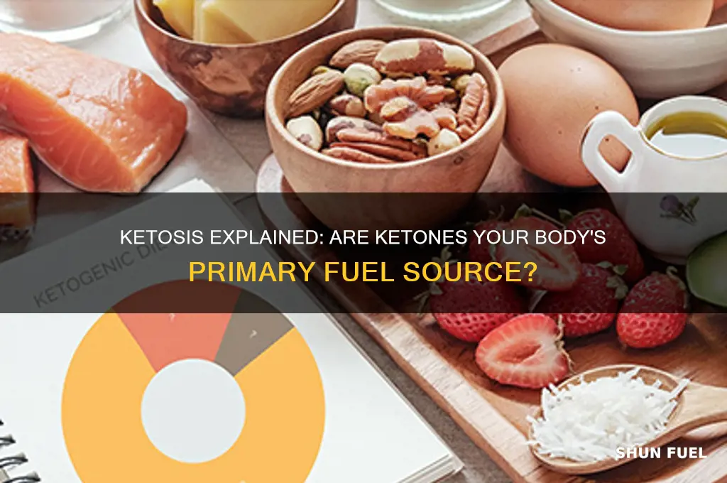 does ketosis mean you are using ketones for fuel