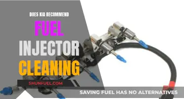 Kia's Fuel Injector Cleaning Recommendation: Yes or No?