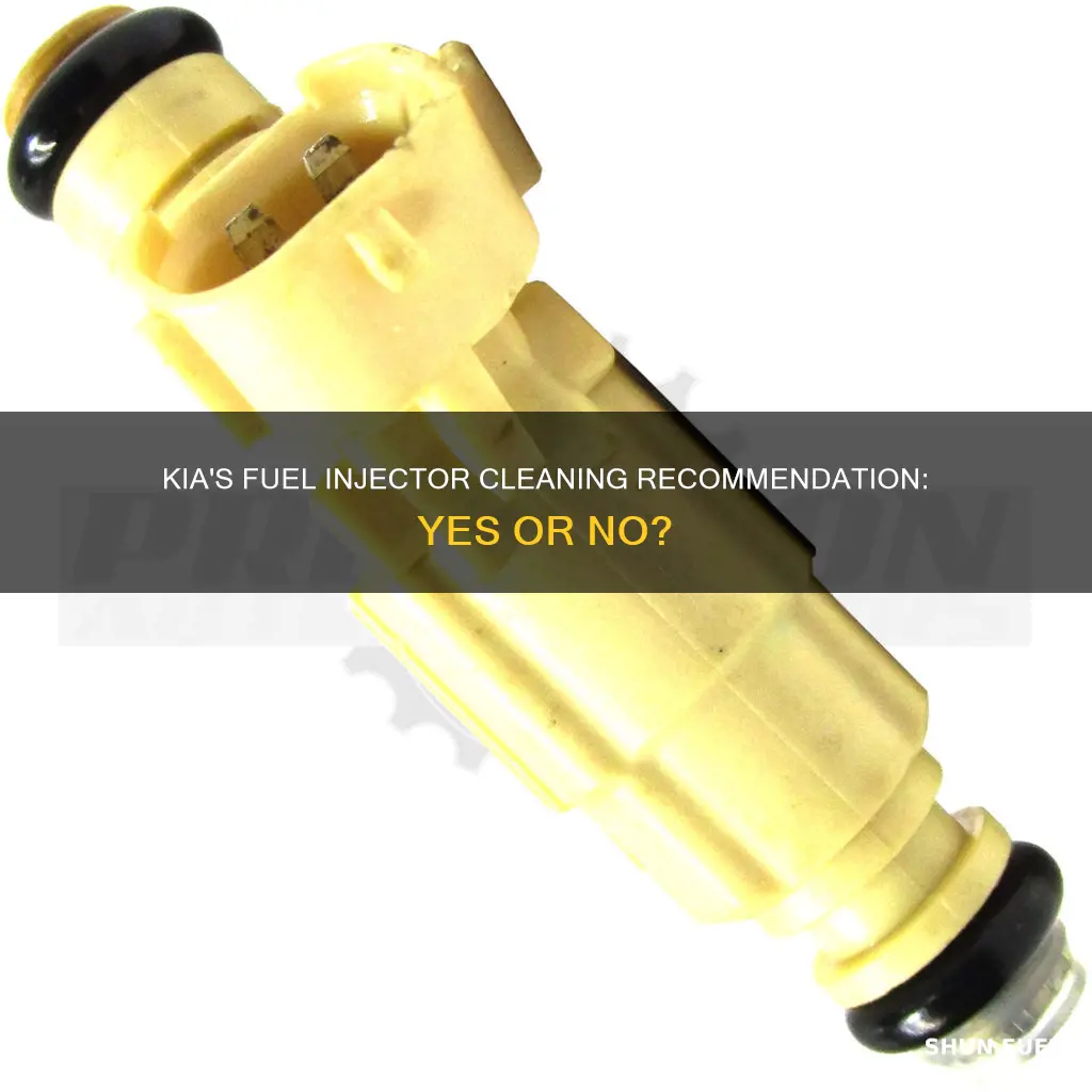 does kia recommend fuel injector cleaning