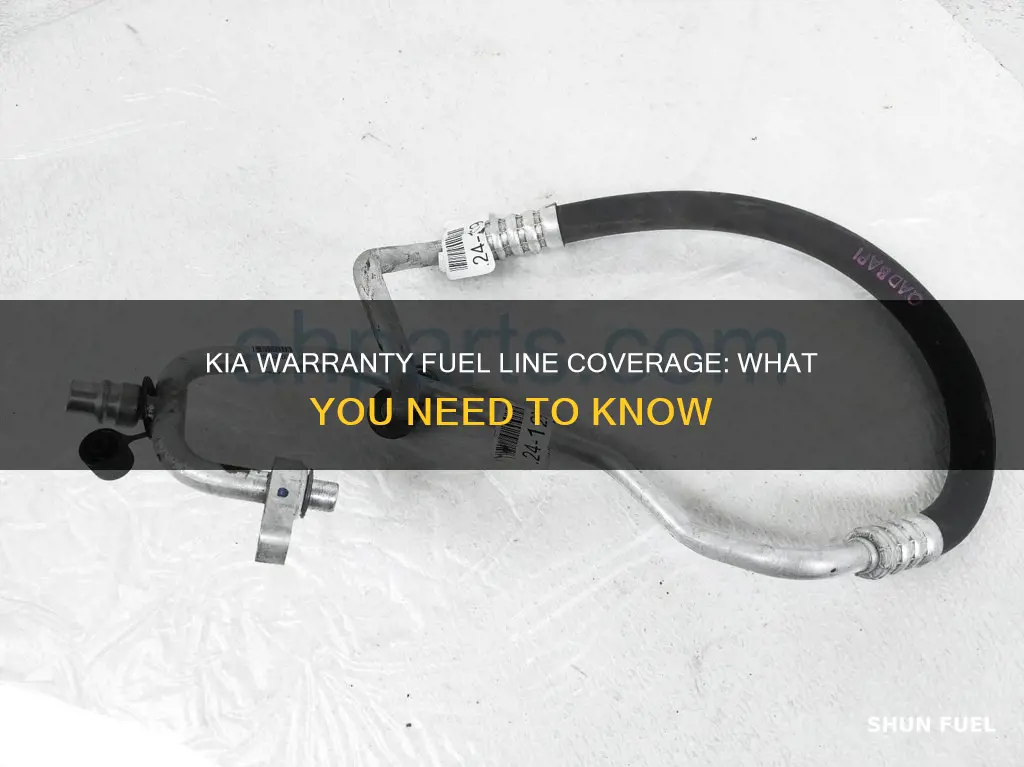 does kia warranty cover fuel lines