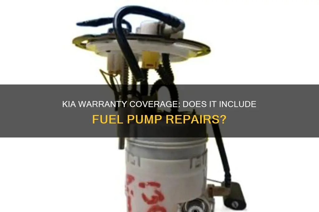 does kia warranty cover fuel pump