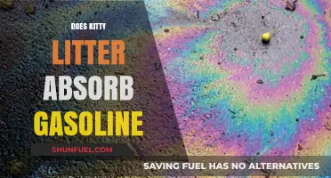 Does Kitty Litter Absorb Gasoline? A Surprising Home Hack