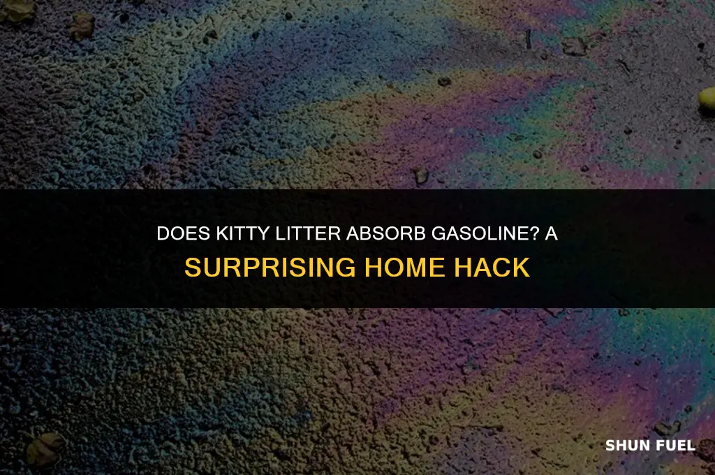 does kitty litter absorb gasoline