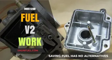 Does Lean Fuel V2 Work? Unveiling the Truth and Results