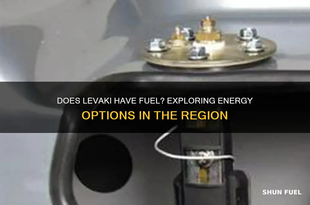 does levaki have fuel