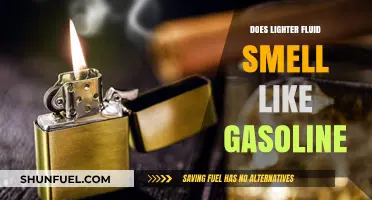 Exploring the Scent Similarities: Lighter Fluid vs Gasoline