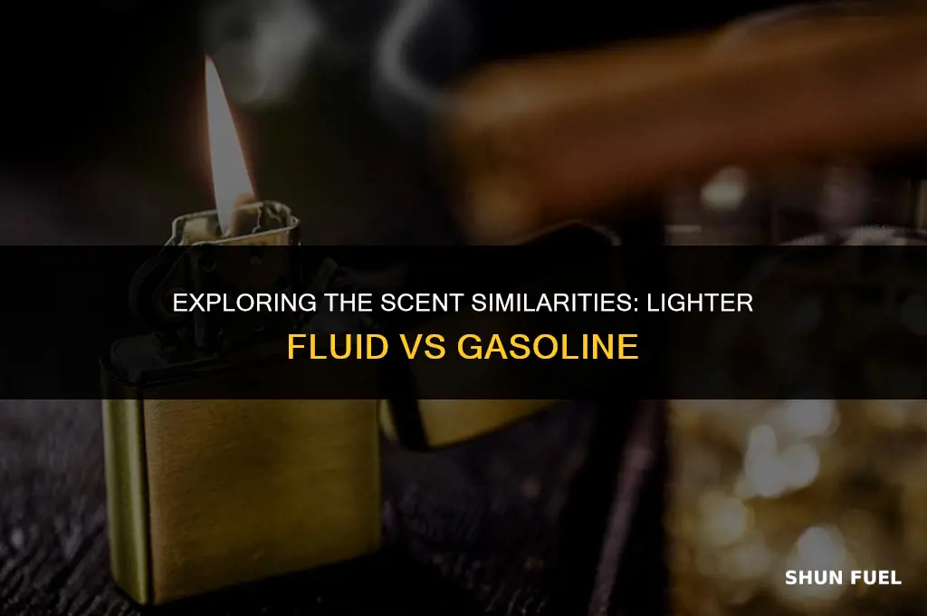 does lighter fluid smell like gasoline