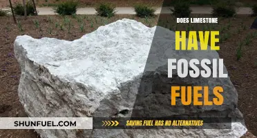 Fossil Fuels and Limestone: What's the Connection?
