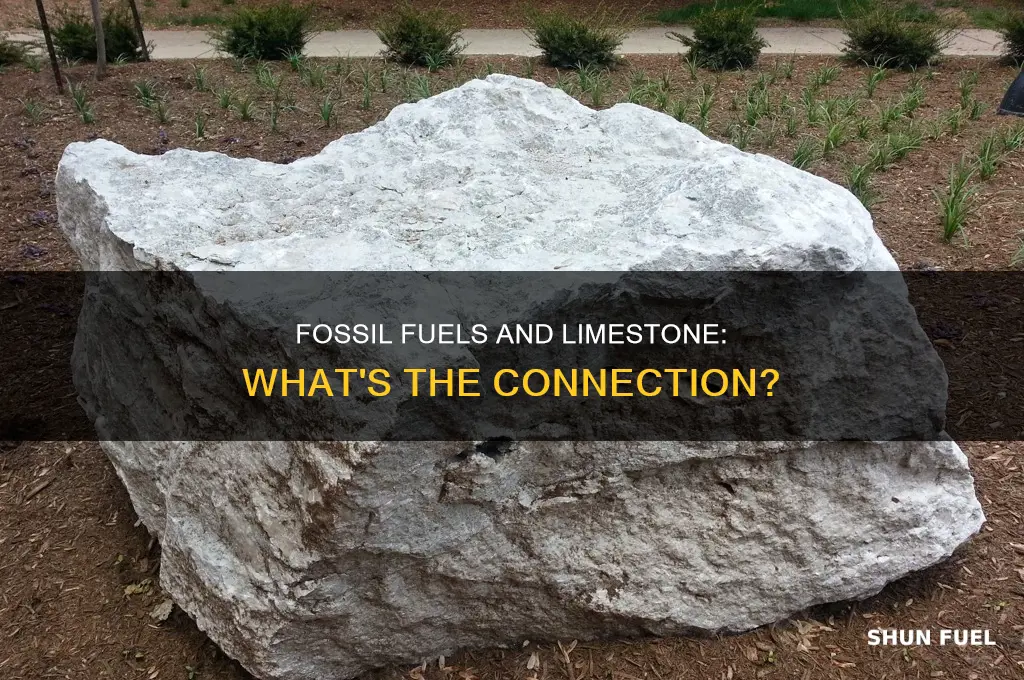 does limestone have fossil fuels