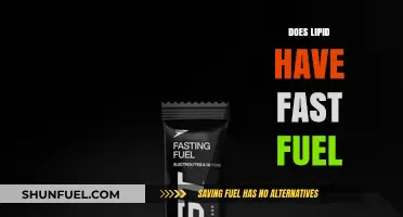 Lipids as Fast Fuel: Unlocking Energy Efficiency in the Body