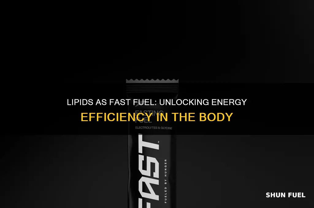 does lipid have fast fuel