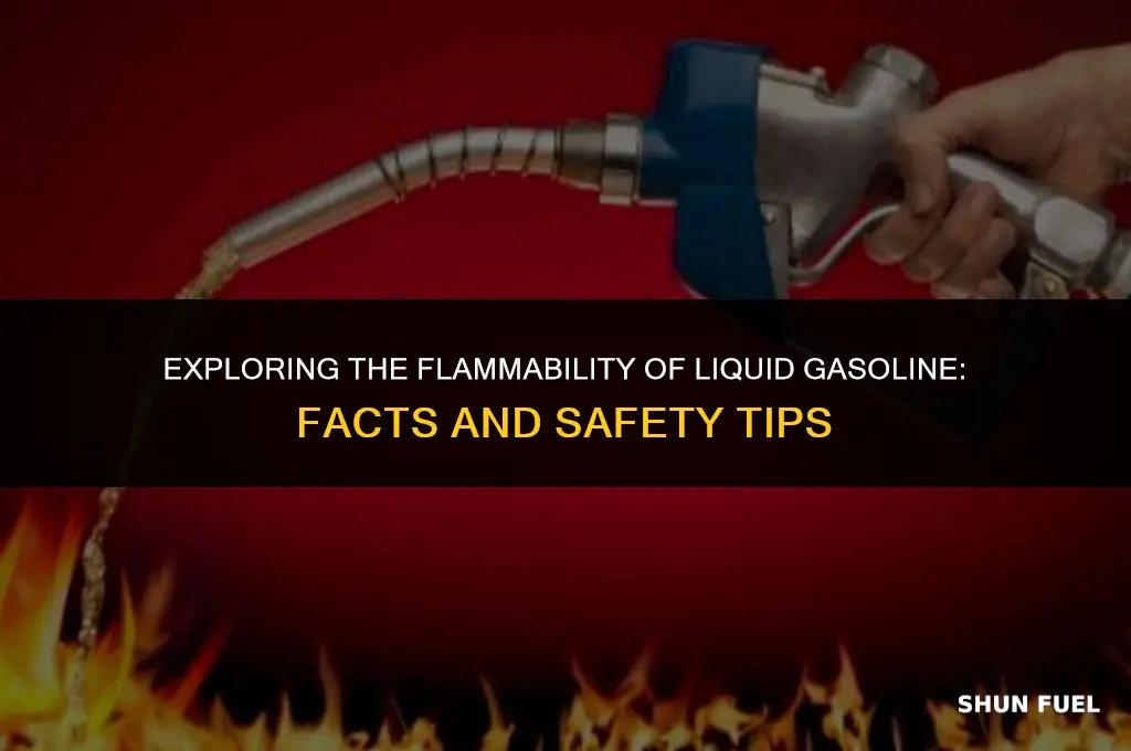 does liquid gasoline ignite