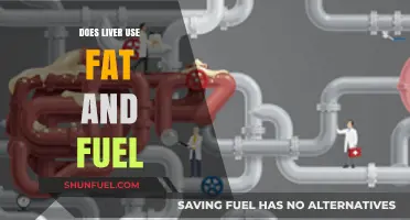 How the Liver Utilizes Fat as Fuel: Unlocking Metabolic Secrets