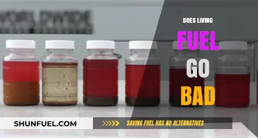 Does Living Fuel Expire? Understanding Shelf Life and Storage Tips