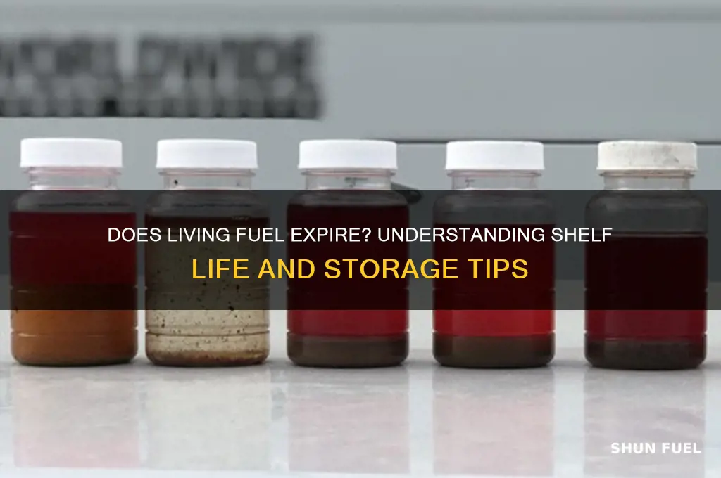 does living fuel go bad