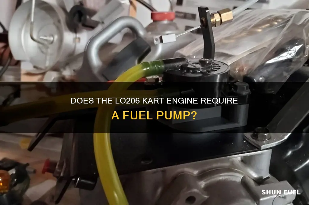 does lo206 need a fuel pump