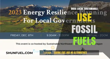 Local Sustainability: The Fossil Fuel Challenge