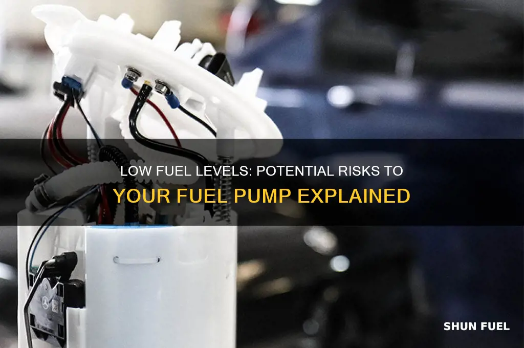 does low fuel damage fuel pump