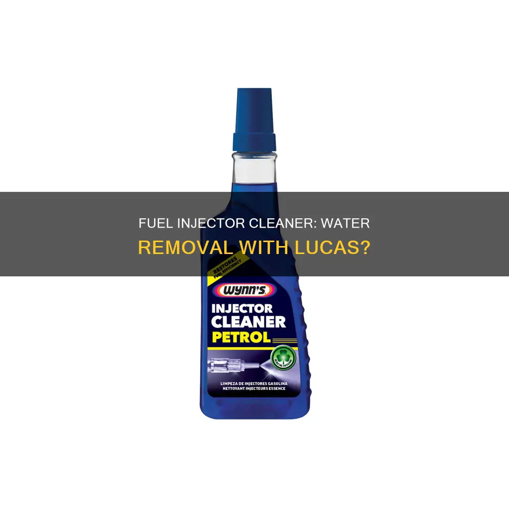 does lucas fuel injector cleaner remove water