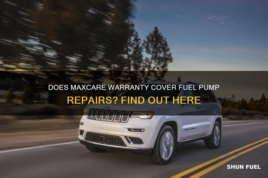 does maxcare cover fuel pump