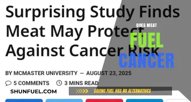 Meat Consumption and Cancer Risk: Unraveling the Scientific Connection