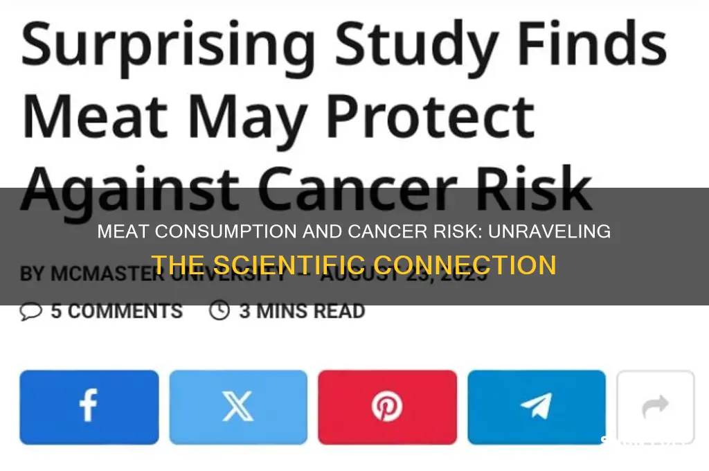 does meat fuel cancer