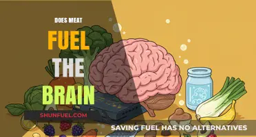 Meat's Role in Brain Function: Fuel or Fiction?