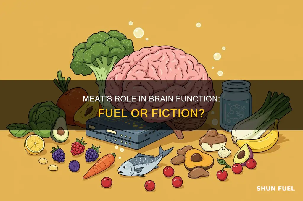 does meat fuel the brain