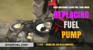 Fuel Pump Replacement: The Fuel Tank's Clean Bill of Health