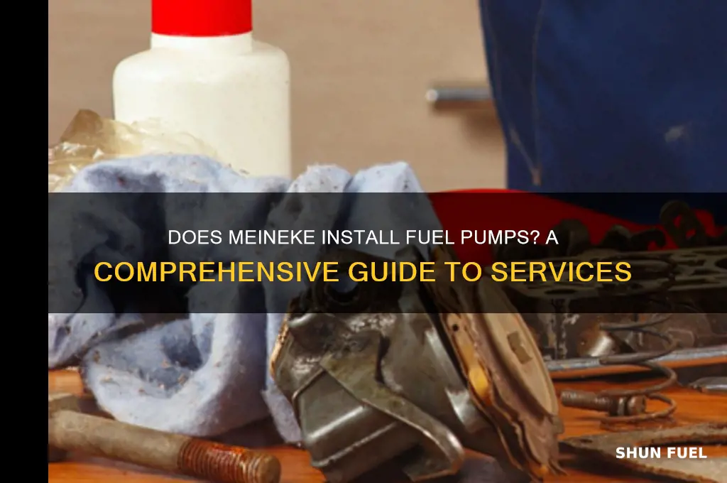 does meineke install fuel pumps