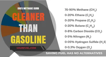 Cleaner Flames: Methane vs. Gasoline - A Comparative Burn Analysis