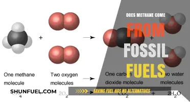 Fossil Fuels and Methane: What's the Connection?