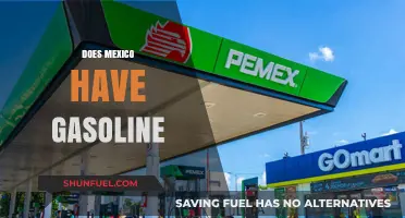 Exploring Mexico's Gasoline Availability: Facts and Insights
