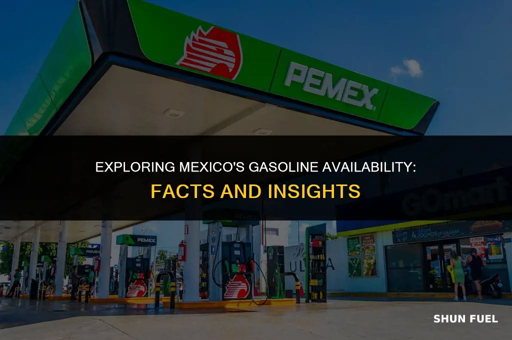 does mexico have gasoline