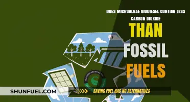 Microalgae Biodiesel: A Low-Carbon Fuel Alternative?