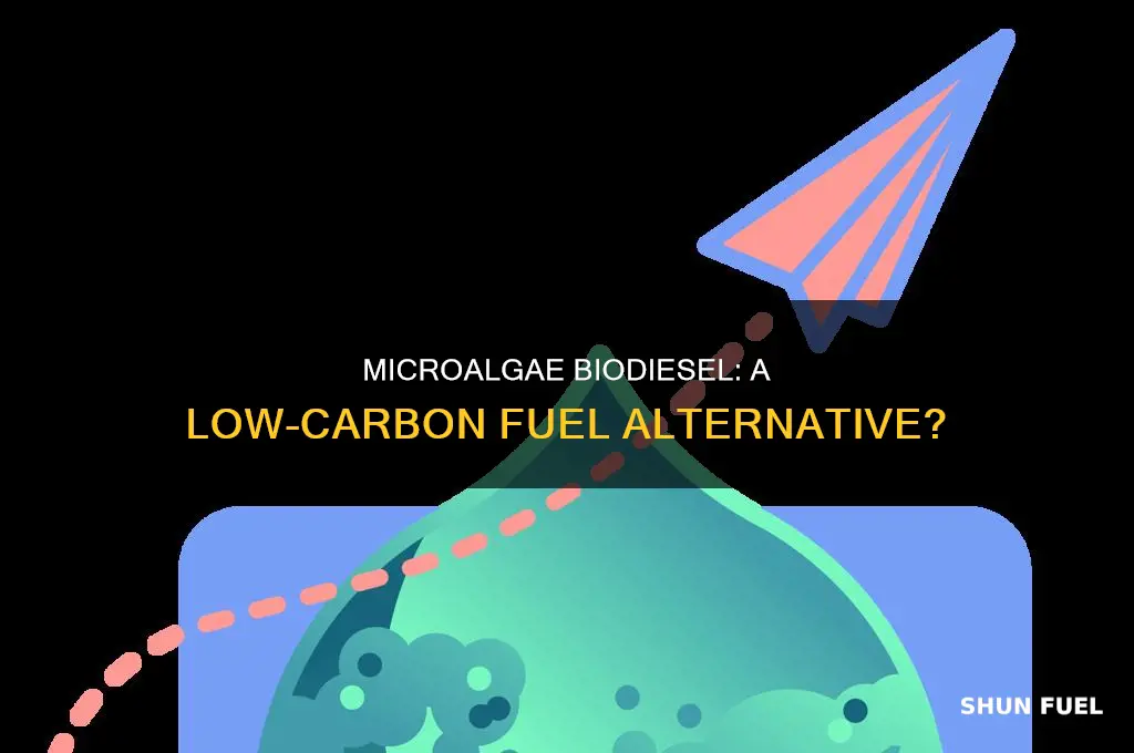 does microalgae biodiesel contian less carbon dioxide than fossil fuels