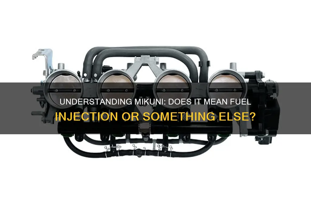 does mikuni mean fuel injection