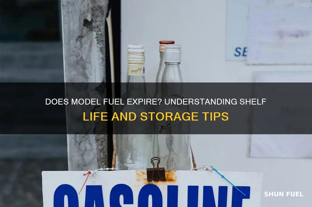does model fuel go bad