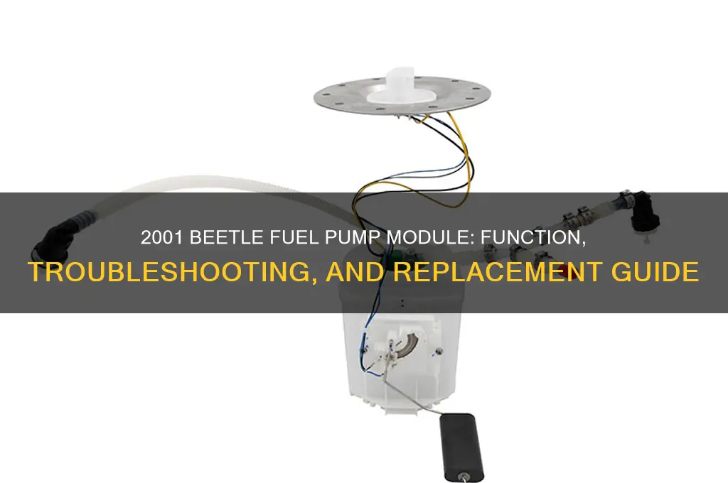 does module for a 2001 beetle contr fuel pump