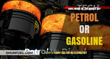 Global Perspectives: Petrol vs. Gasoline - What Does the World Say?