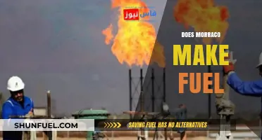 Does Morocco Produce Fuel? Exploring Energy Sources and Production
