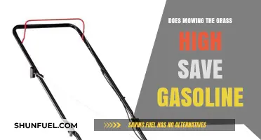 Efficient Lawn Care: The Truth About Mowing High to Save Gasoline