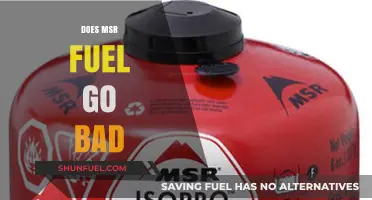 Does MSR Fuel Expire? Shelf Life and Storage Tips Explained