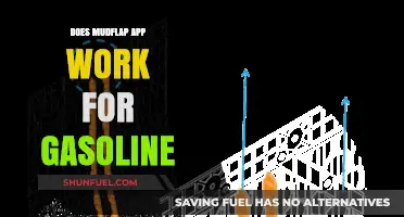 Exploring Mudflap App's Efficiency for Gasoline Purchases