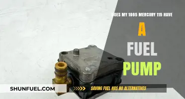 Mercury 115 Fuel Pump: Does the 1995 Model Have One?