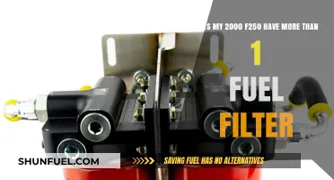 Ford F250 Fuel Filter Facts: More Than One?